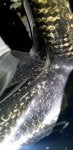 20191009_224759_1570687308838.jpg