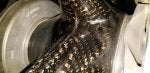 20191009_224843_1570687349085.jpg
